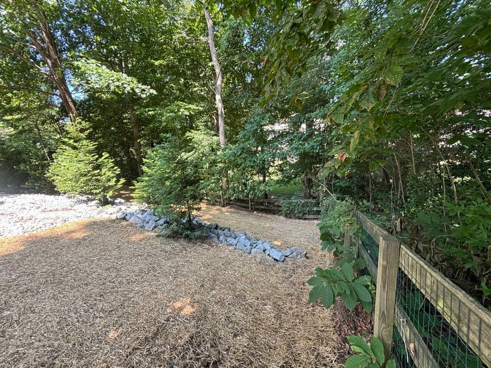 Contact form background