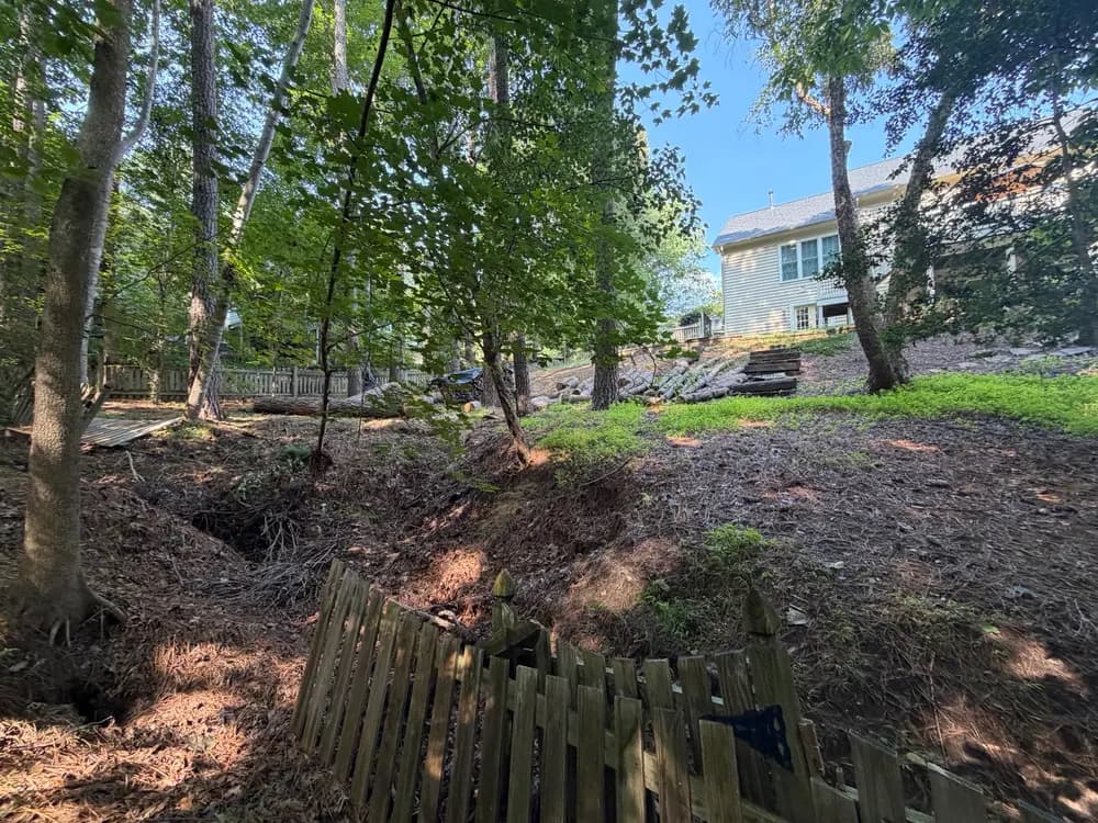 Project Severe Backyard Erosion Fixed with Regrading and Erosion Control image