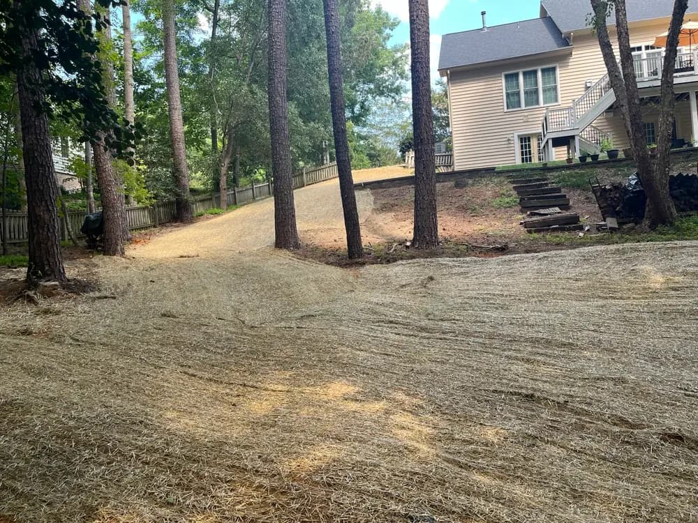 Gallery photos for Severe Backyard Erosion Fixed with Regrading and Erosion Control: Image #1